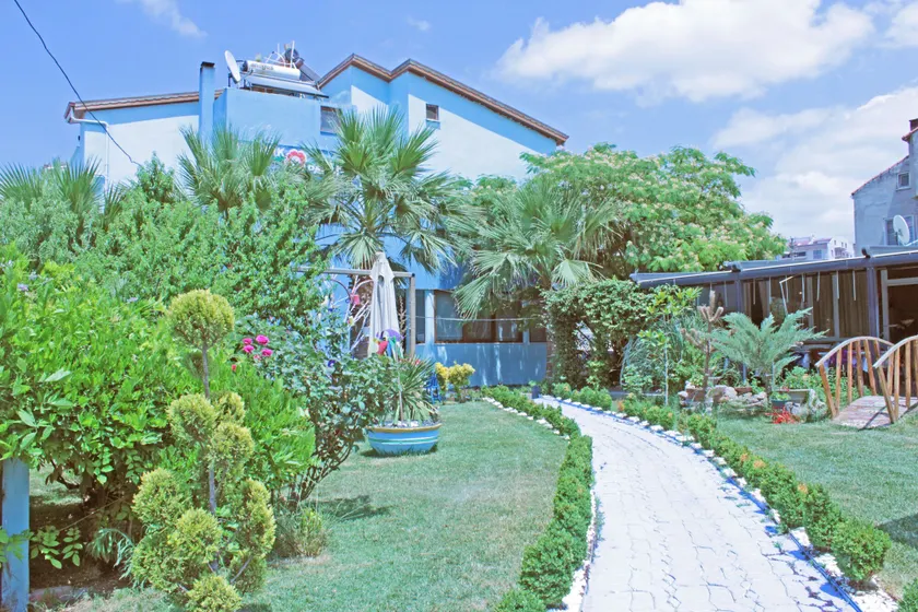 Geyikli Gelincik - Image 1