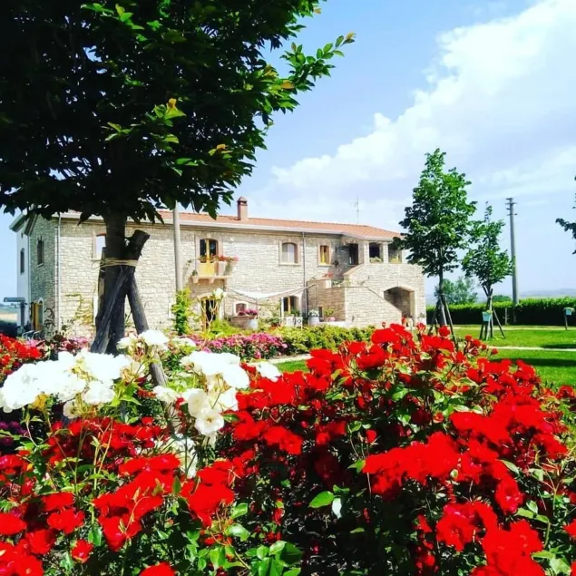 Masseria Fontana dei Fieri - Image 1