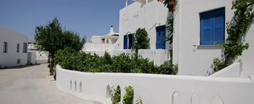 Jasmine - Image 1