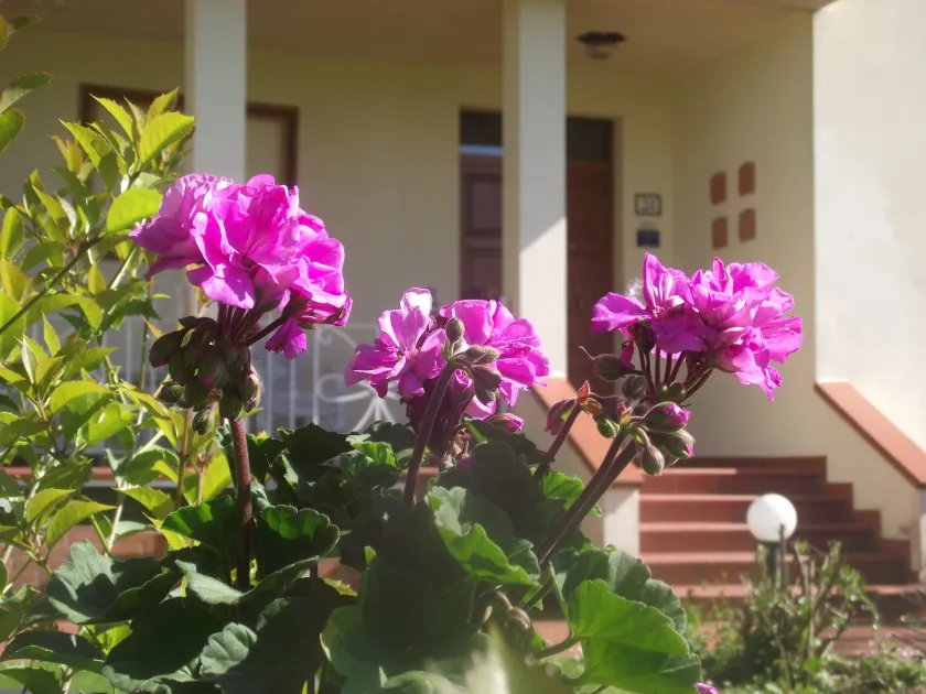 B&B Villa Sabrina - Image 1