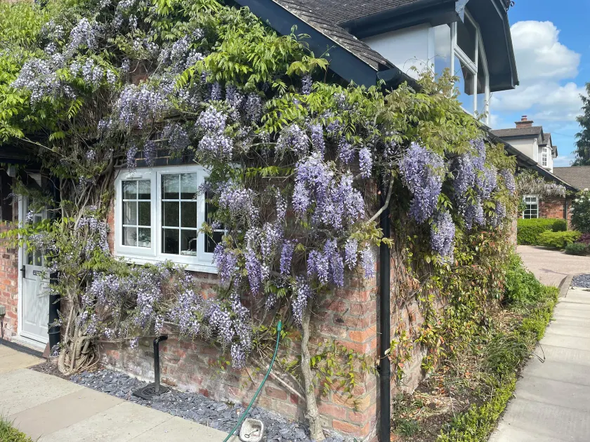 Curlew Cottage - Image 1