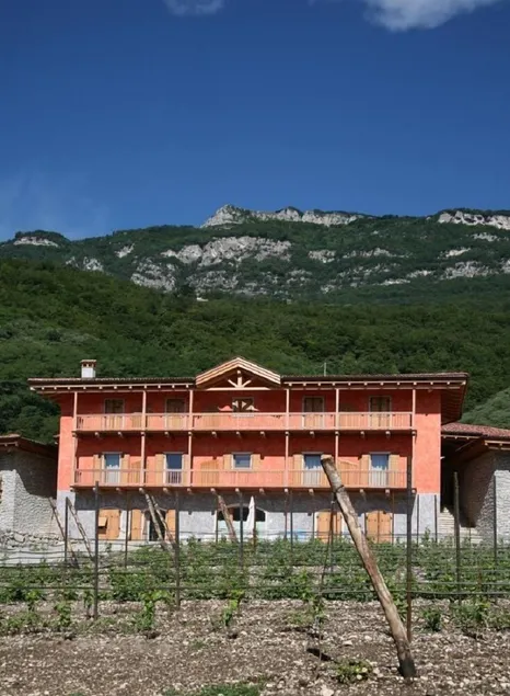 Maso Fiorini - Image 1