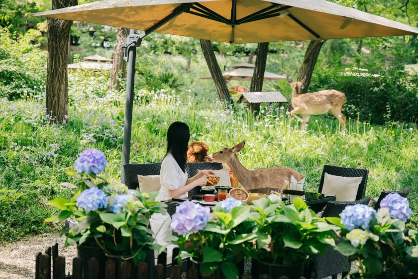 Zhi Resort Beijing - Image 1