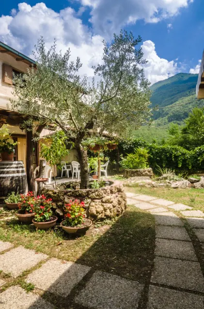 La Mandra - Image 1
