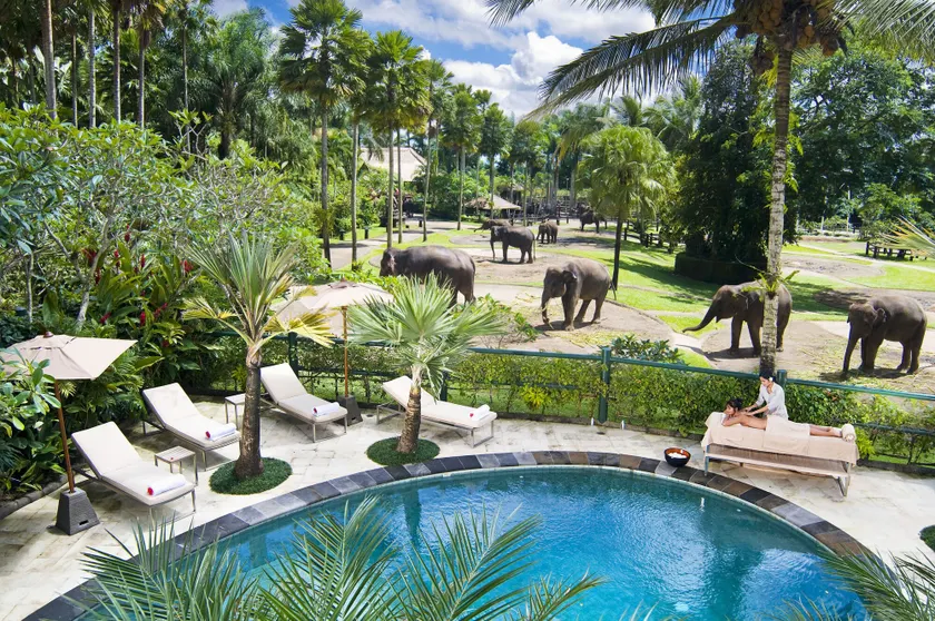 Mason Elephant Lodge - Image 1
