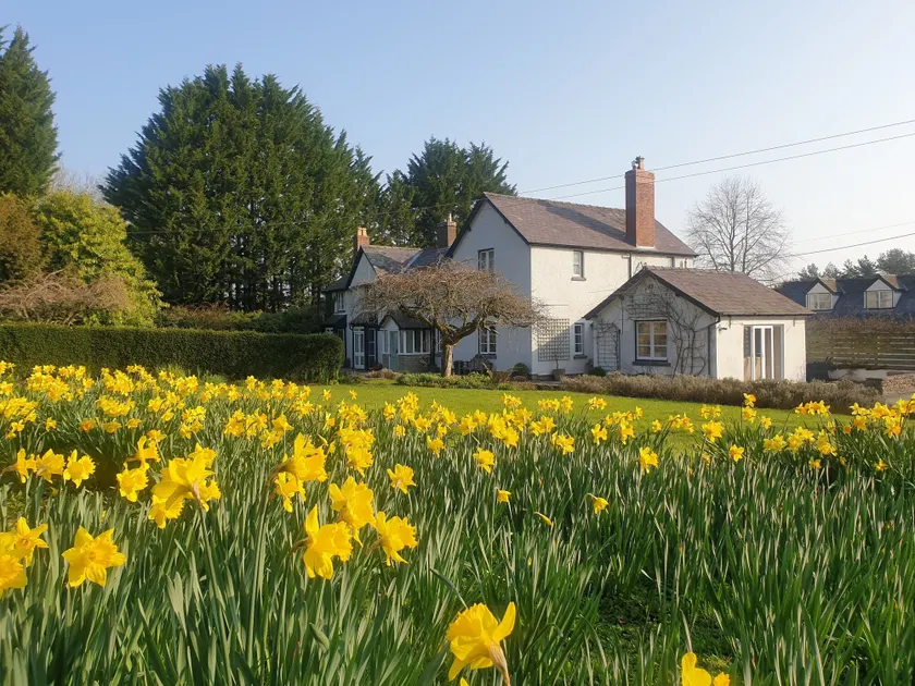 Lower House B&B and Cottages, Adforton - Image 1