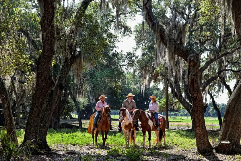 Westgate River Ranch Resort & Rodeo - Image 1