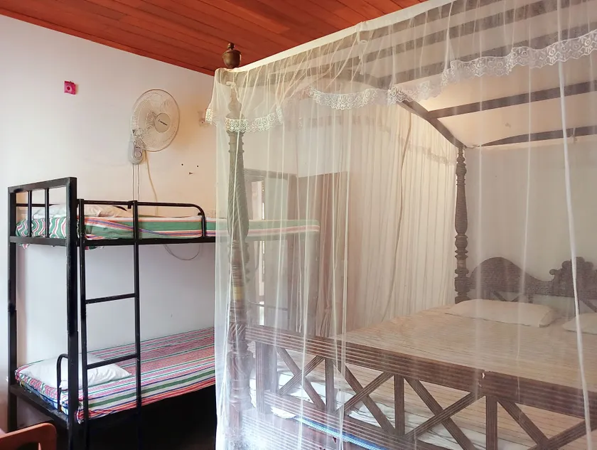 Green herbal Ayurvedic Eco-Lodge - Image 1