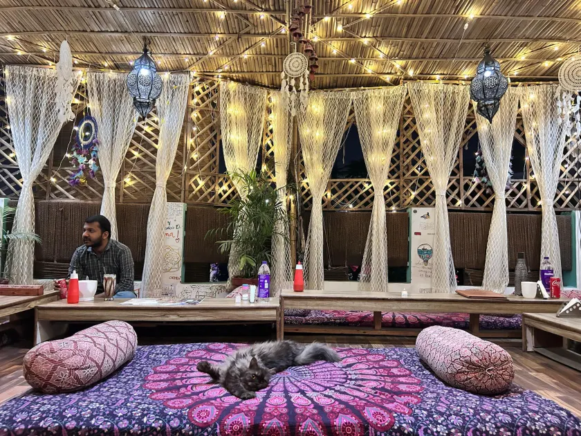 The Pink Chapter Hostel, Jaipur - Image 1
