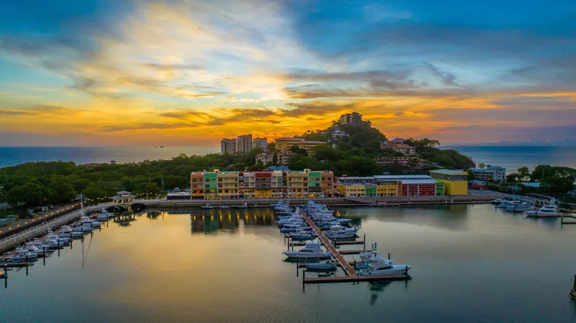 Marina Flamingo - Image 1