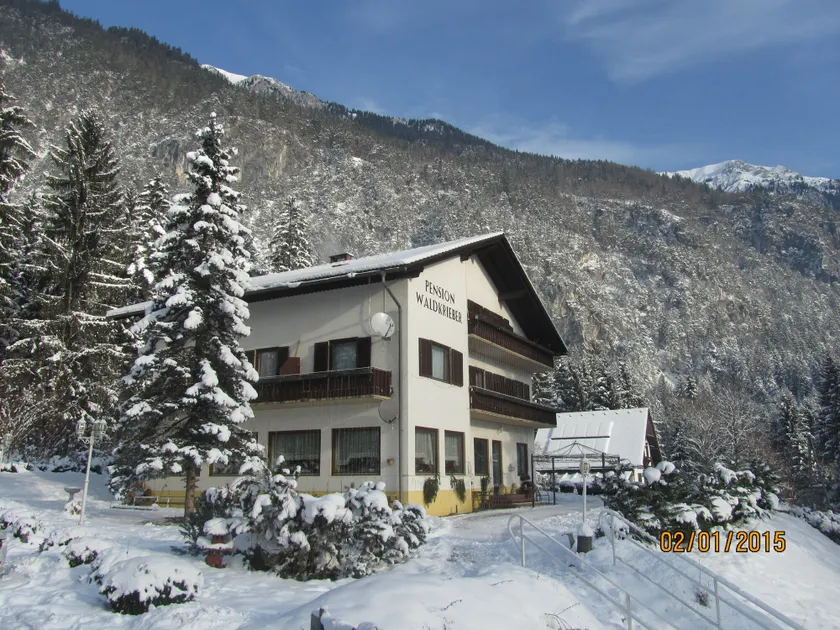 Pension & Apartments Waldkrieber - Image 1