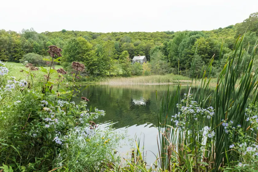 Spectacular home on 60 acres, swimming pond & trails, pet friendly + EV charger - Image 1