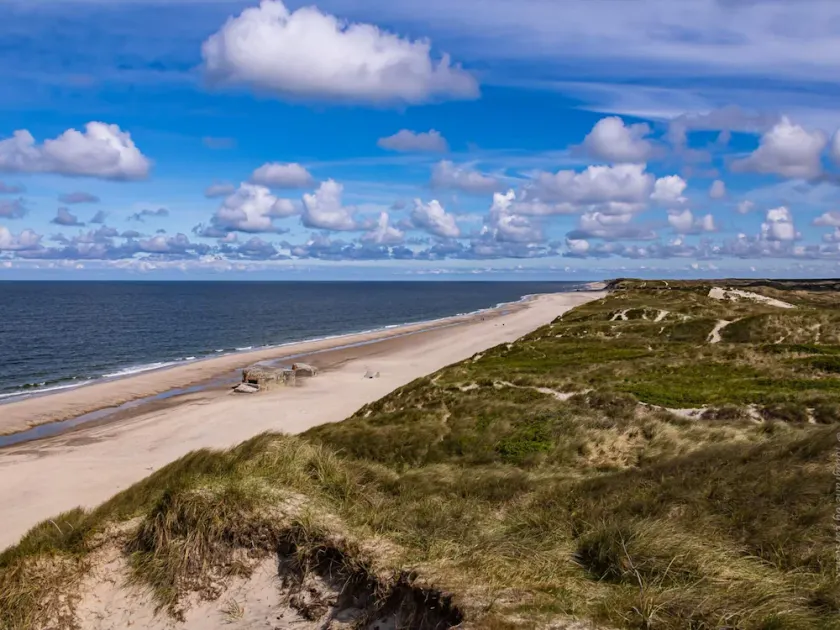 5 star holiday home in Ulfborg - Image 1