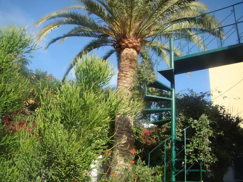 Studio Marcel, Komfortabel und sparsam auf Teneriffa - Image 1