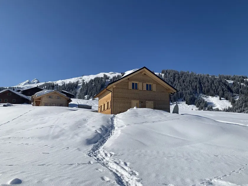 RelaxAlp - newly built for you! Chalet in the Silvretta Montafon ski area - Image 1