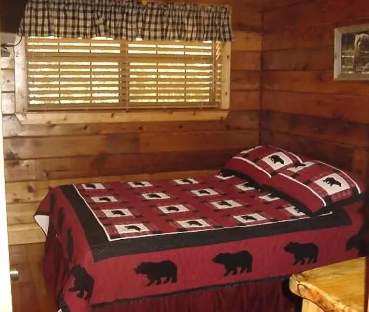 Urso Cabin Necessidade Log - Trout Pond, Cachoeira - Image 1