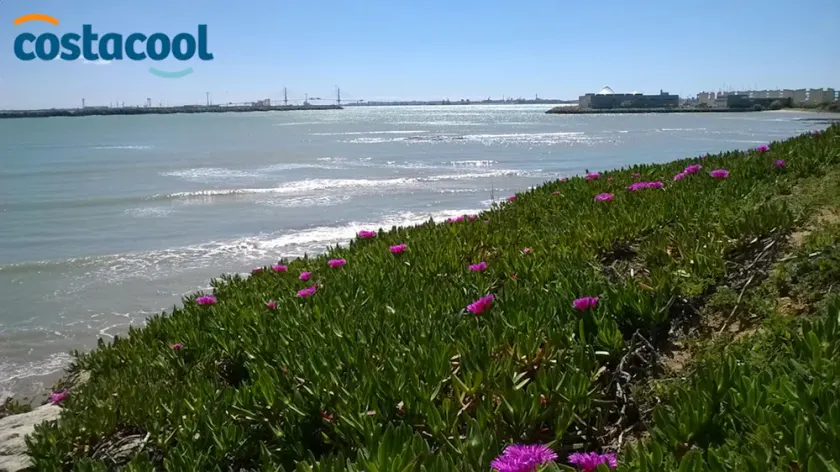 Tranquillité totale Dunes et plages à 50 m. Villa idéale pour les familles! - Image 1