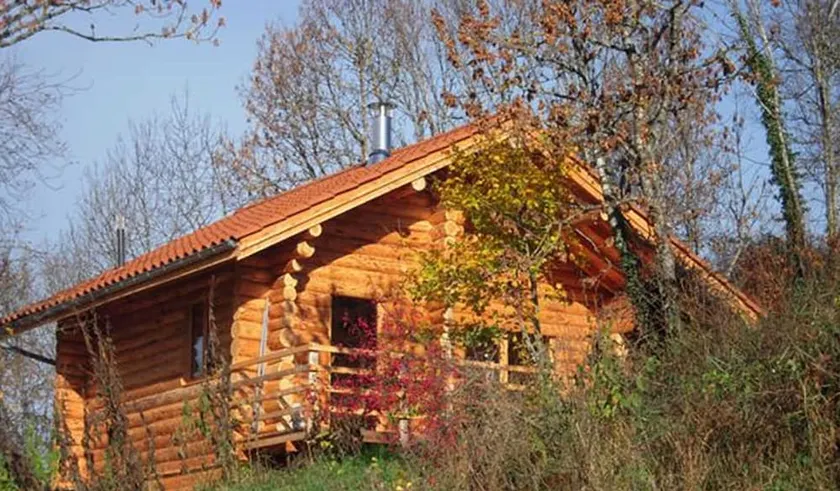 Rustic cabin with wood stove - 3 ppl, pets allowed - Image 1