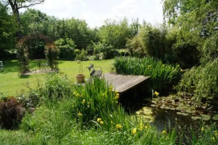 Little Rose Cottage - Urlaub unter Reet zwischen den Meeren - Little Rose - Image 1