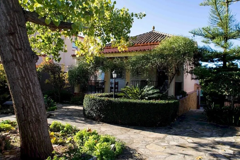 The Orange Lemon Tree House - Image 1