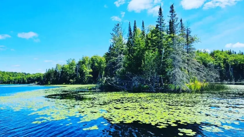 Étapes de la cabine au LAC! Charmant, petit complexe W / Sandy Beach & Great Services! - Image 1