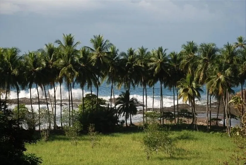 Up Close Ocean View W / Pool-Beach 600 Ft Away 2nd Flr Studio - Image 1