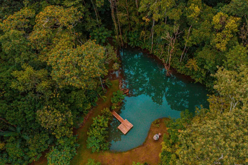 Santuario De Ranas, Valle Azul - Image 1