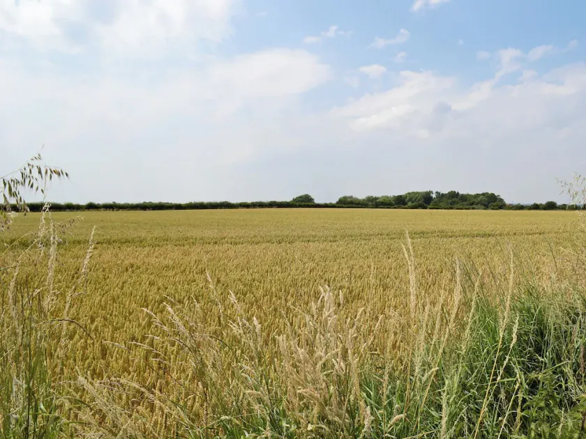 3 chambres à coucher à Hogsthorpe, near Skegness - Image 1