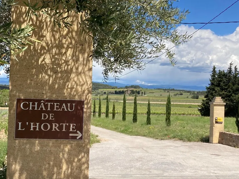 Montbrun Vineyard Escape - Image 1