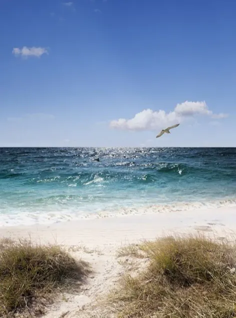 Eine schöne Wohnung nur wenige Minuten vom Strand entfernt ... Ausgezeichnete Lage! - Image 1