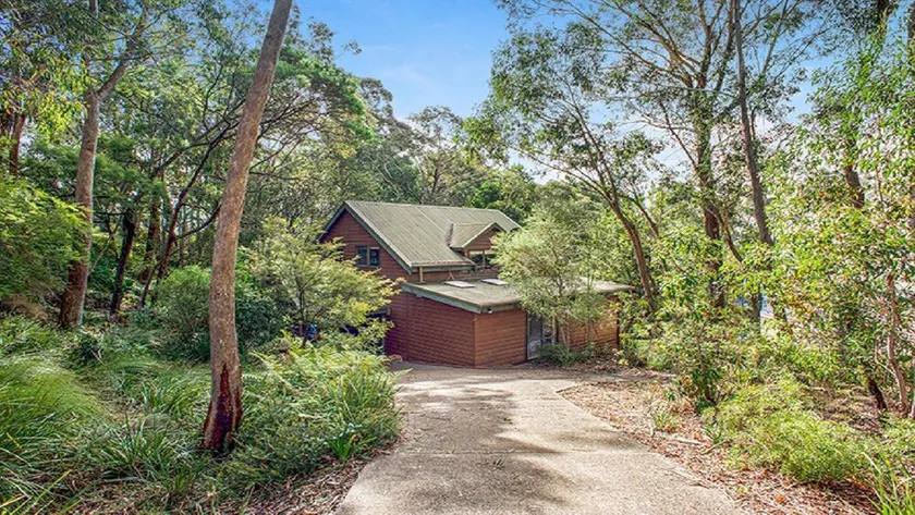 Lyrebird Peaceful Bush Location - Image 1
