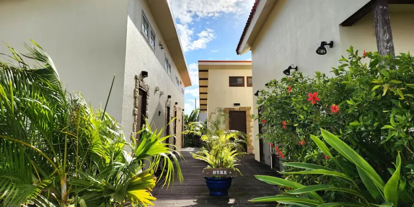 Holistic retreat Coco - Image 1