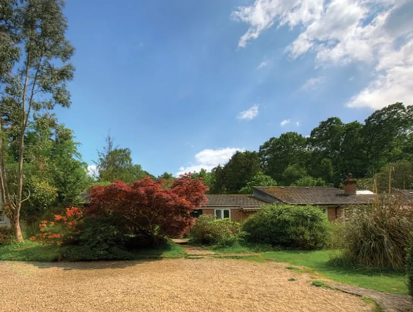 Disponível para NOVOS ANOS! Celebre com até 24 ou 30 pessoas em New Forest - Image 1