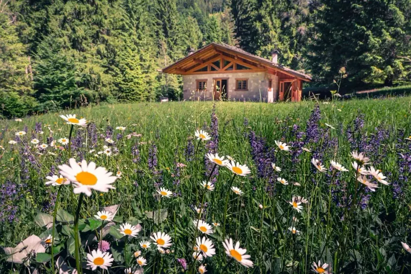 Chalet inside the Nature for 4 People - Image 1