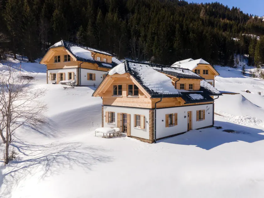 Detached chalet with wellness near the ski lift - Image 1