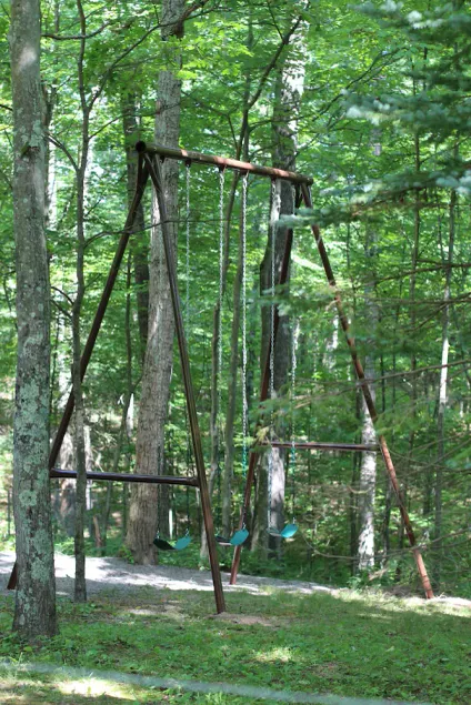 Where Kids Play and Adults Unwind, 6BR Forest Cabin Retreat - Image 1