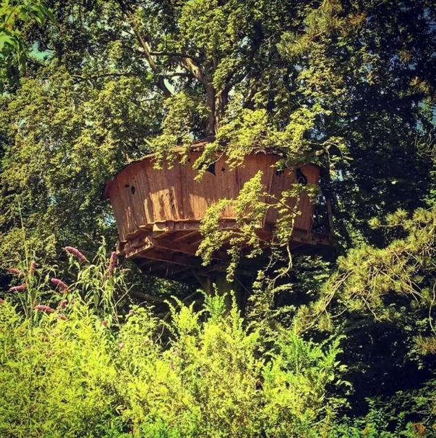 La cabane Haut-Perchée à 16m - Image 1