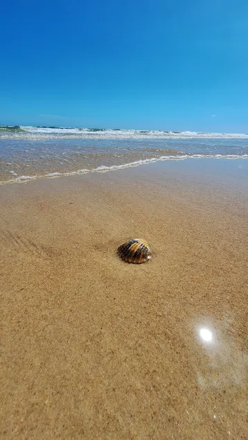 Privilegeret miljø ved siden af ​​Algarves strande. - Image 1