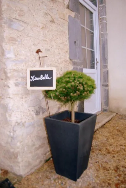 Cottage \"MIRABELLE\" in the countryside with swimming pool - Image 1