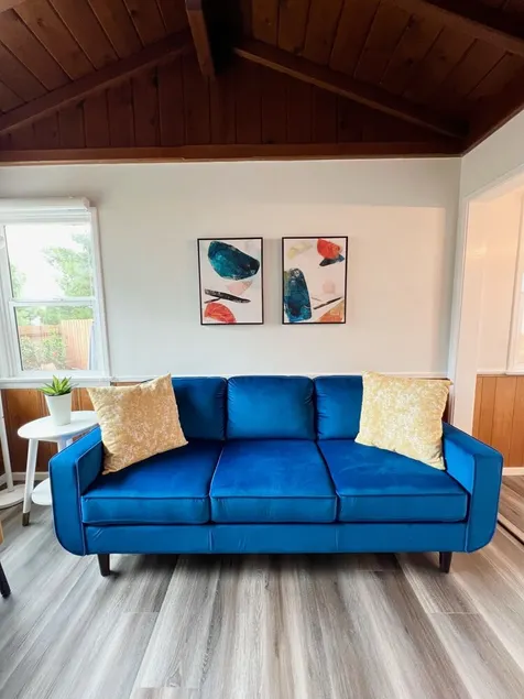 Entire mid-century modern 1/1 house with garage - Image 1
