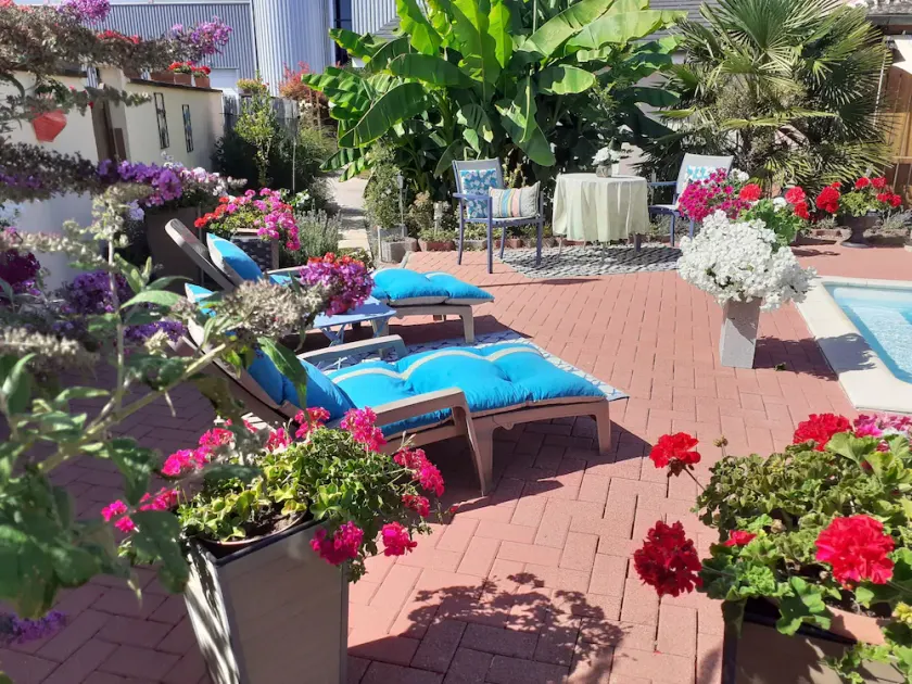 LOVELY SINGLE-STOREY GITE WITH SWIMMING POOL 15 KM FROM EUROPA PARK - Image 1
