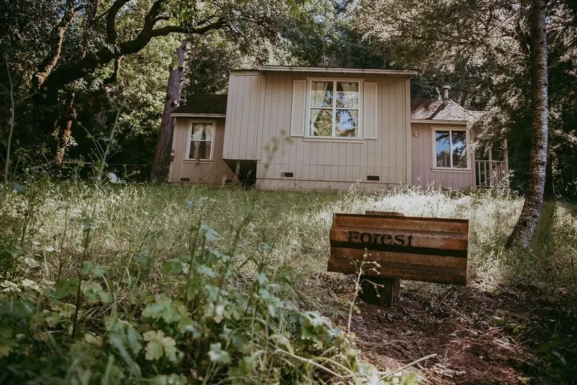 Forest Cottage - Image 1