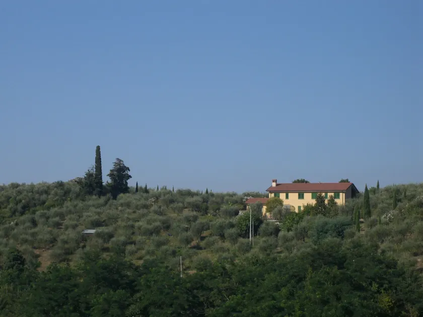 Tenuta Colsereno MAGNOLIA, Relax in hilly Villa looking to the sea 6 km far - Image 1