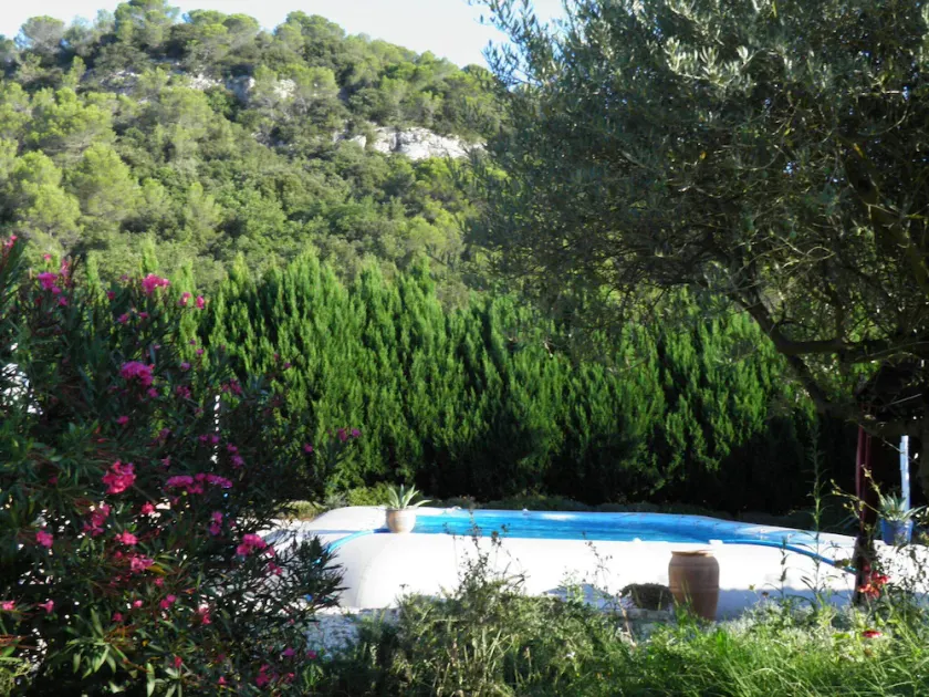 PROMO Stor privat pool ved floden med smuk strand - Image 1