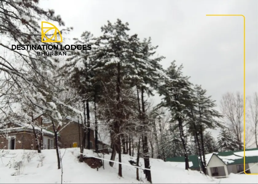 Destination Lodges Bhurban - Image 1