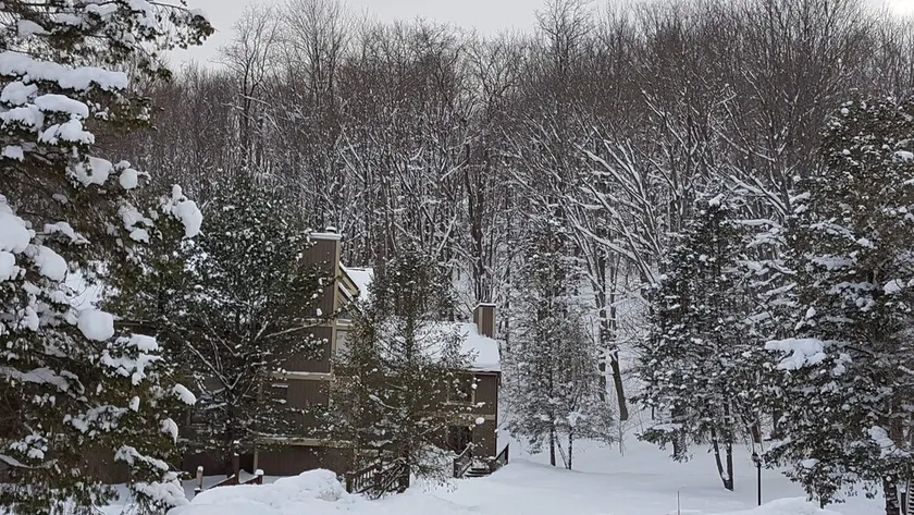 Sun & Snow Escape: Ski Golf Condo at Peek & Peak - Image 1