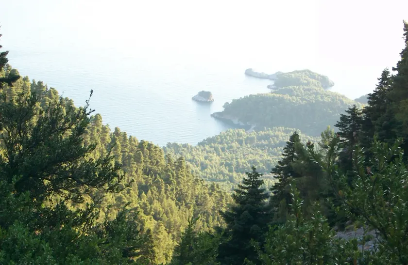 beautiful house inside forrest with sea view. Paradise - Image 1
