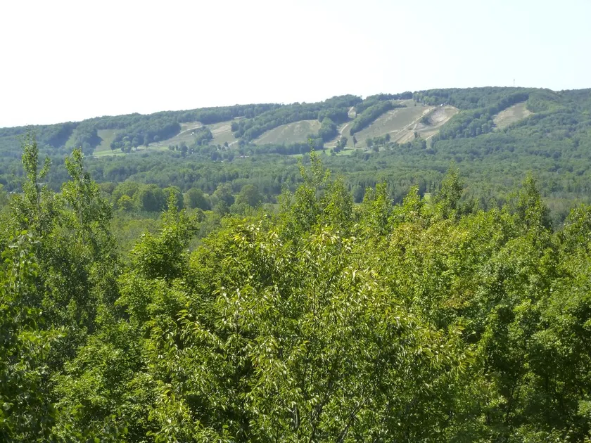 Highlands View Cottage A Perfect Getaway 4 Season - Image 1