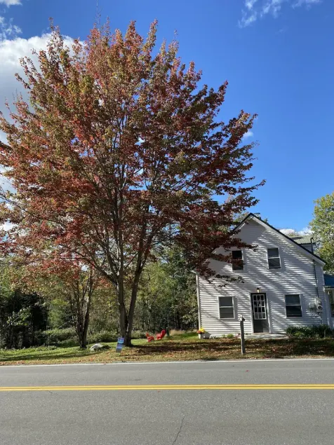 Comfy Home on 2+ acres just outside the White Mountains on the Connecticut River - Image 1