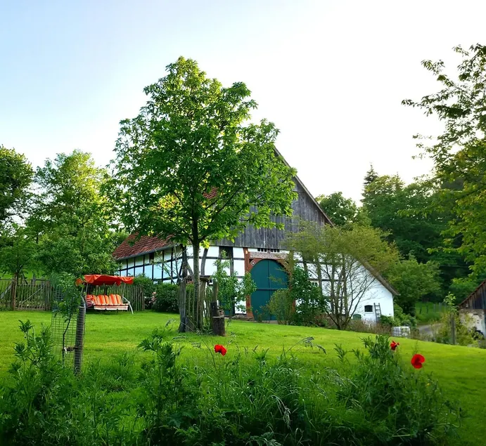 Quiet and idyllic half-timbered holiday home in the middle of nature - Image 1